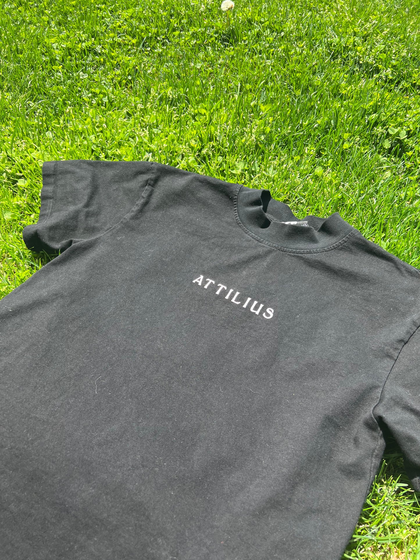 "Fortune Favors The Bold" T-Shirt