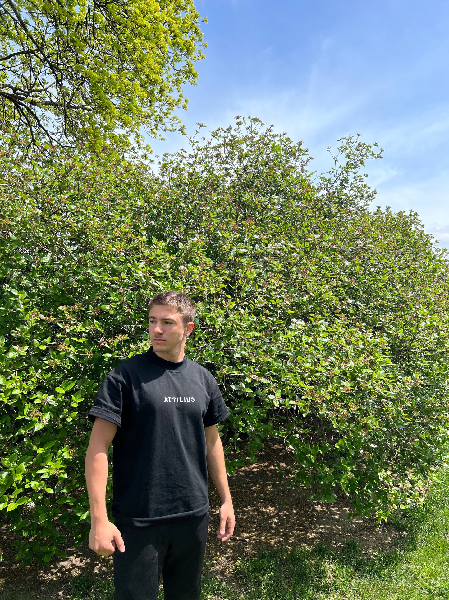 "Fortune Favors The Bold" T-Shirt